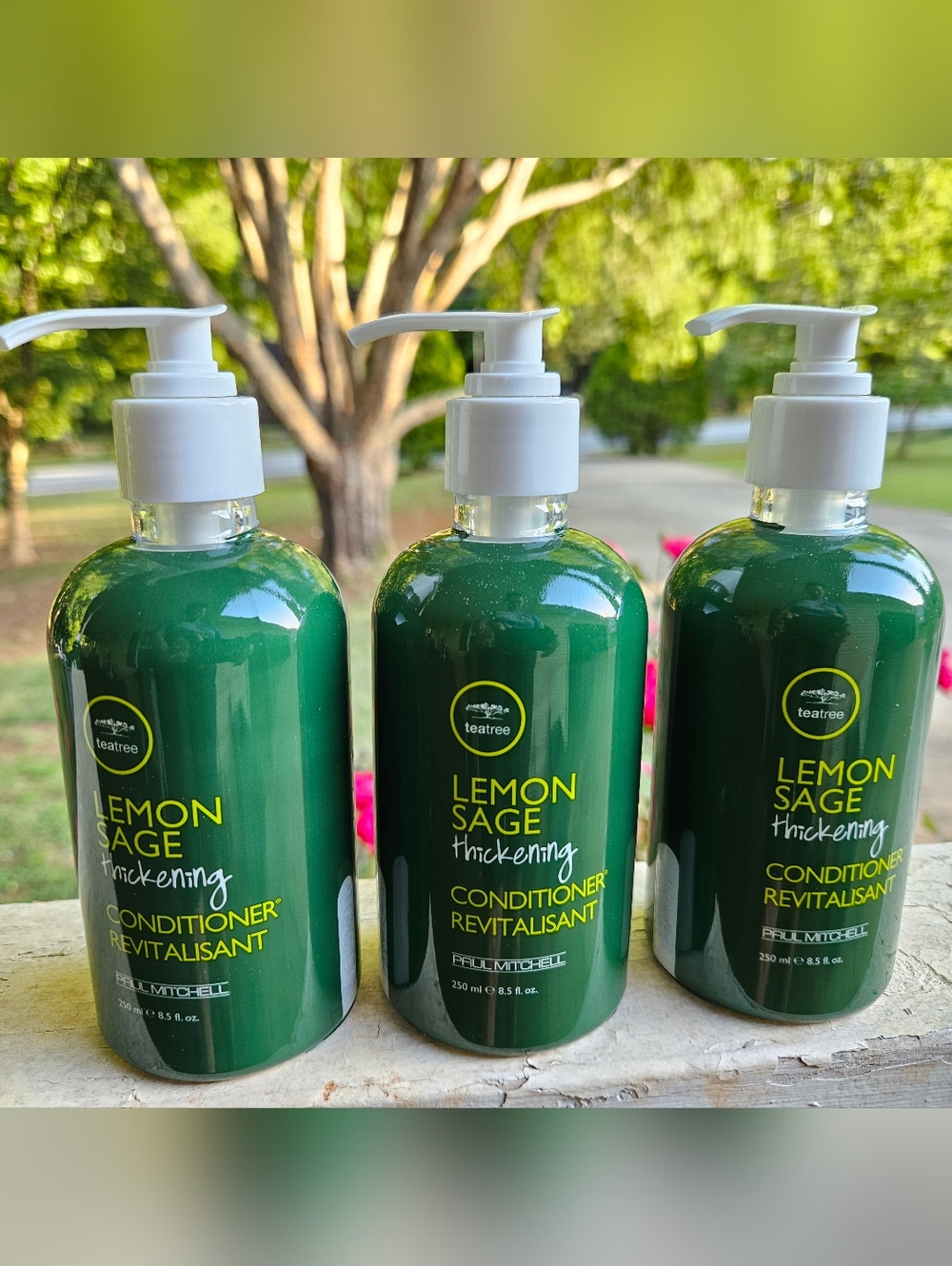 Paul Mitchell Tea Tree Lemon Sage Thickening Conditioner Set Of 3 8.5fl.oz. New